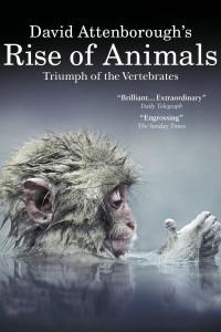 Xem phim David Attenborough's Rise of Animals: Triumph of the Vertebrates