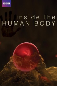 Xem phim Inside the Human Body