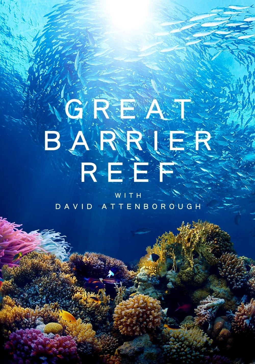 Xem phim Khám Phá Rạn San Hô Great Barrier cùng David Attenborough