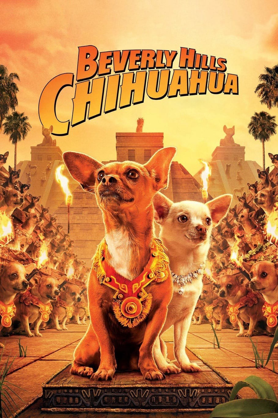 Xem phim Những Chú Chó Chihuahua