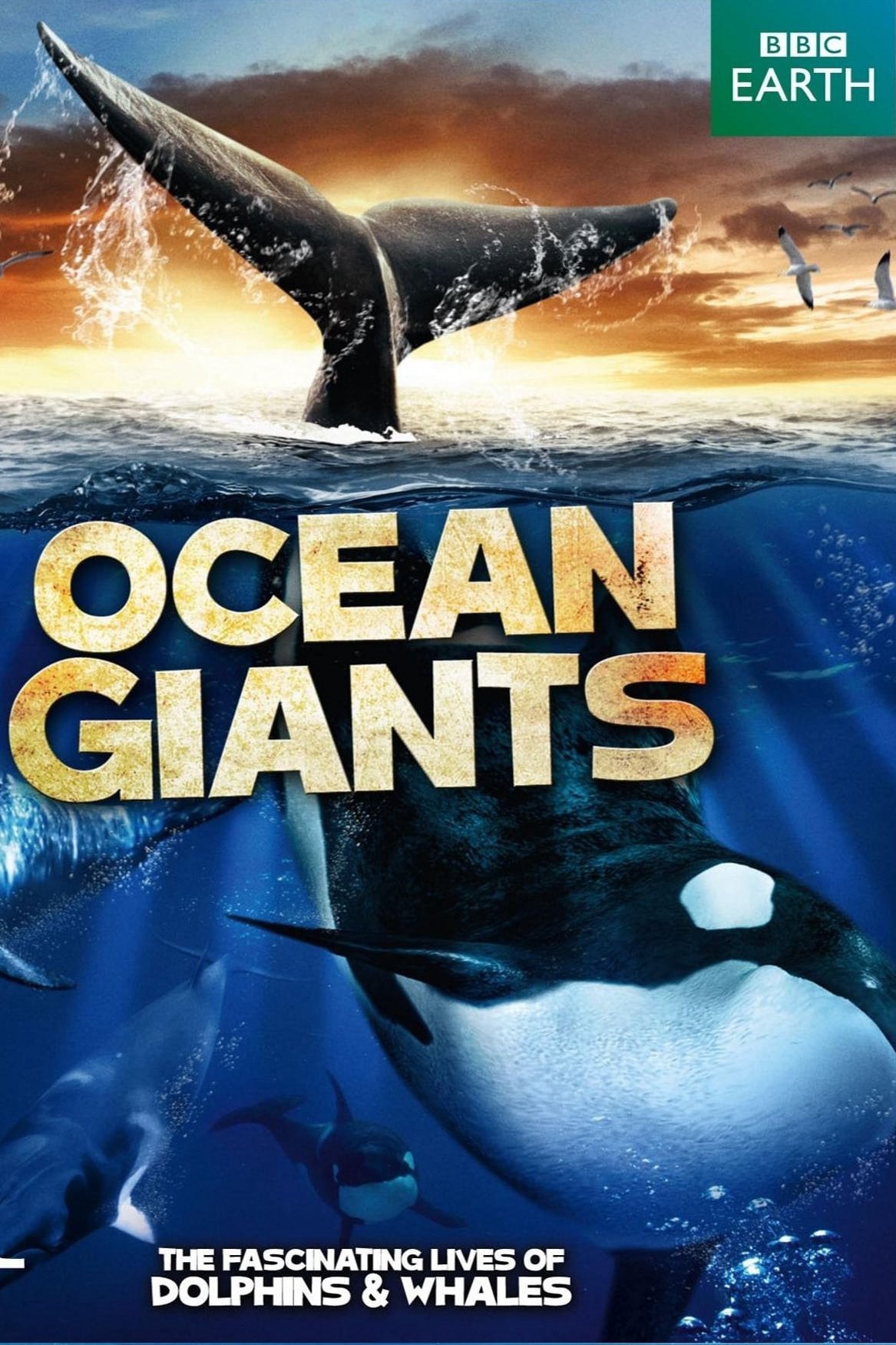 Xem phim Ocean Giants