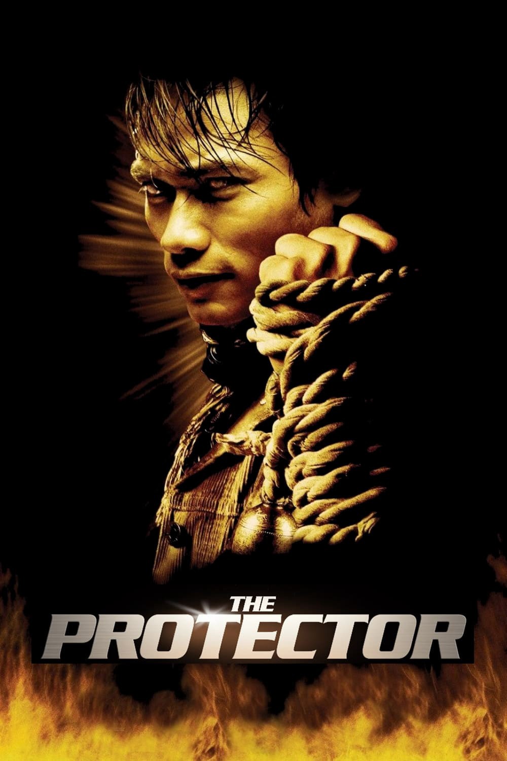 Xem phim The Protector