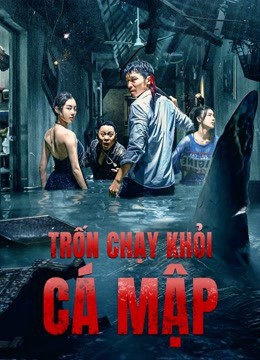 Xem phim Trốn Chạy Khỏi Cá Mập